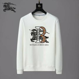 Picture of Burberry Sweatshirts _SKUBurberrys-3xl25t1224889